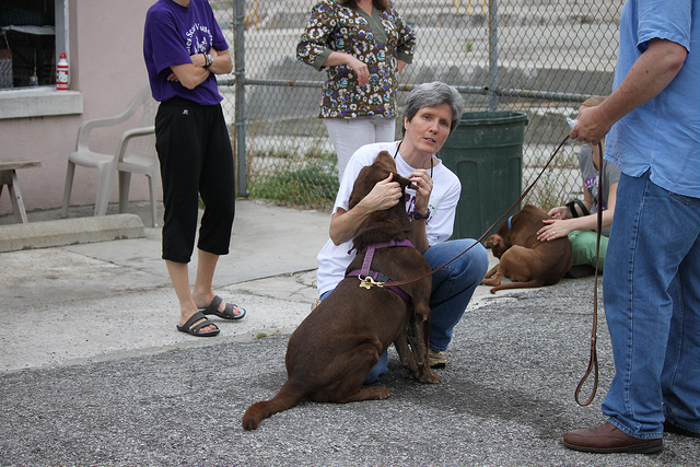 a walk with some volunteers