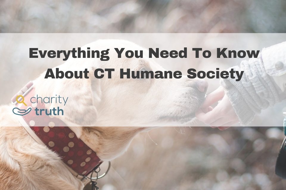 ct humane society
