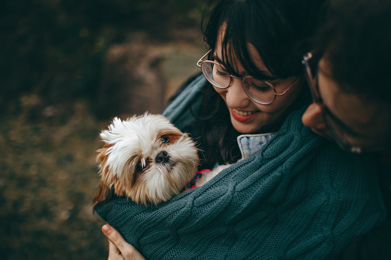 pet owner carrying their puppy