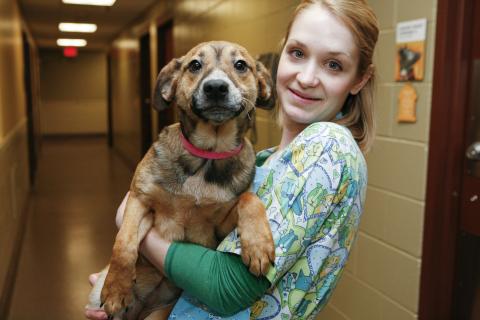 a girl carrying a dog
