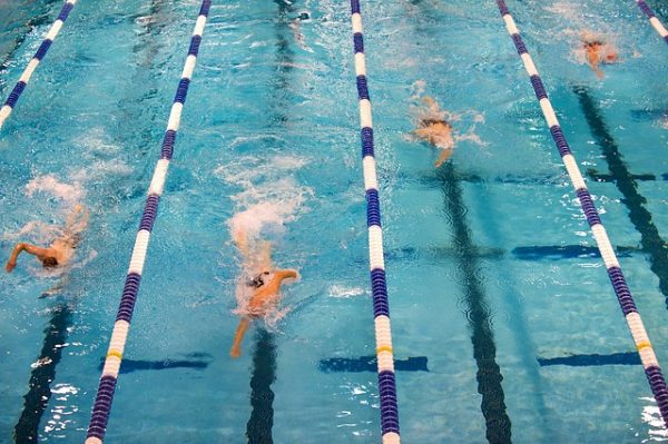 athletes swimming in a pool 