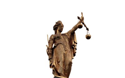 An In-Depth Look at Asian Americans Advancing Justice Programs