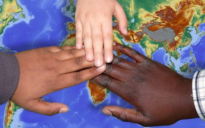 An In-Depth Look at Charity Navigator