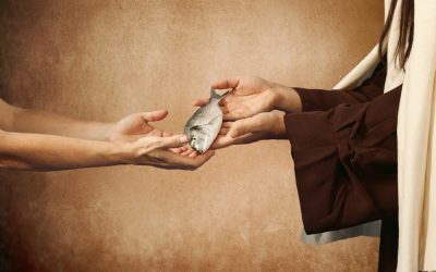 The 5 Best Christian Charities for your Donations