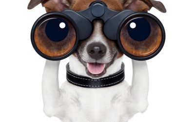 Finding the Truth with Greg Hunter and USA Watchdog