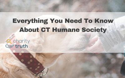 Everything You Need to Know About the CT Humane Society