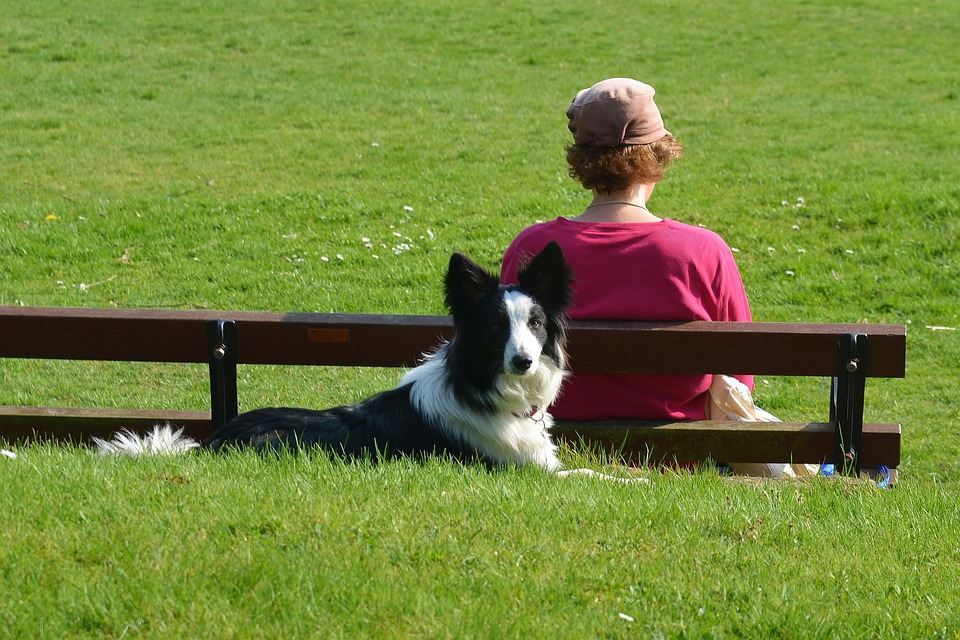 human and dog in the park
