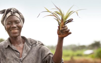 Everything You Need to Know About Bread for the World