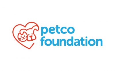 Petco Foundation: Everything You Need To Know